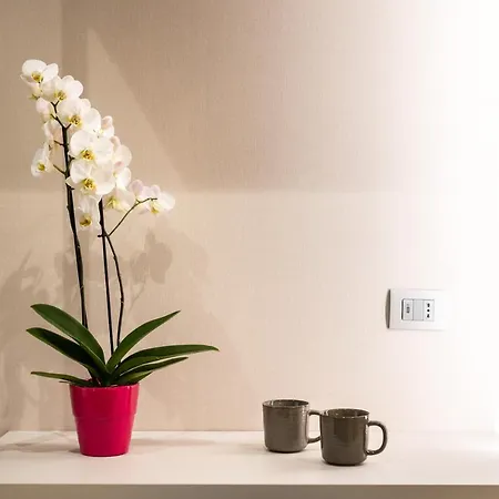 Guest house Bonfalco Rome